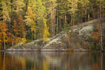 Haltianselkä