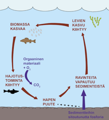 kuormitus