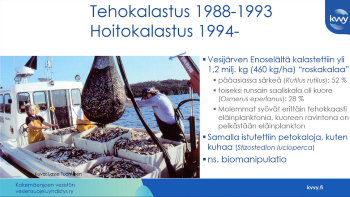 tehokalastus