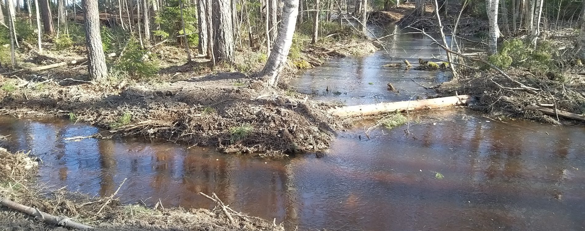 Pohjakynnykset ohjaavat vettä sivu-uomiin. Kynnyksen etupuolelle kaivettiin laskeutus- ja imeytysaltaat, joihin jää veden mukanaan kuljettamaa ravinteikasta kiintoainetta. Rautianoja