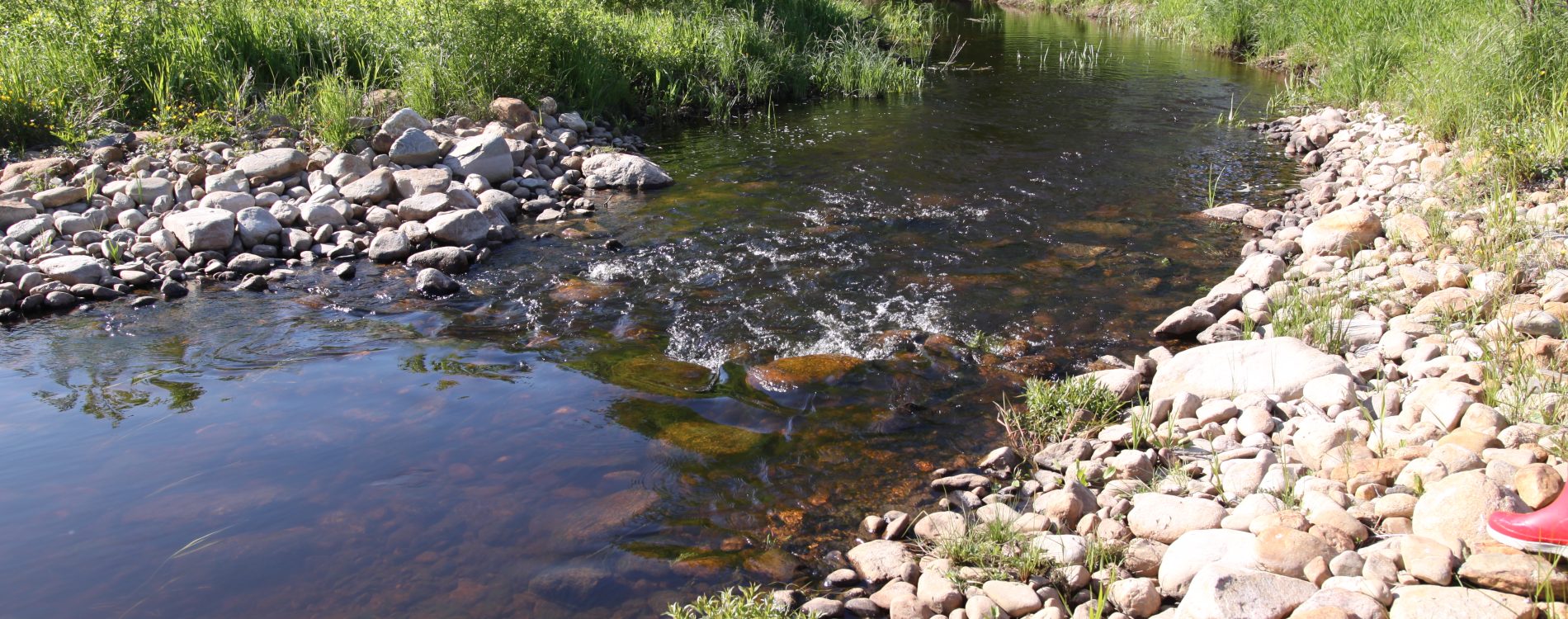 kosteikko