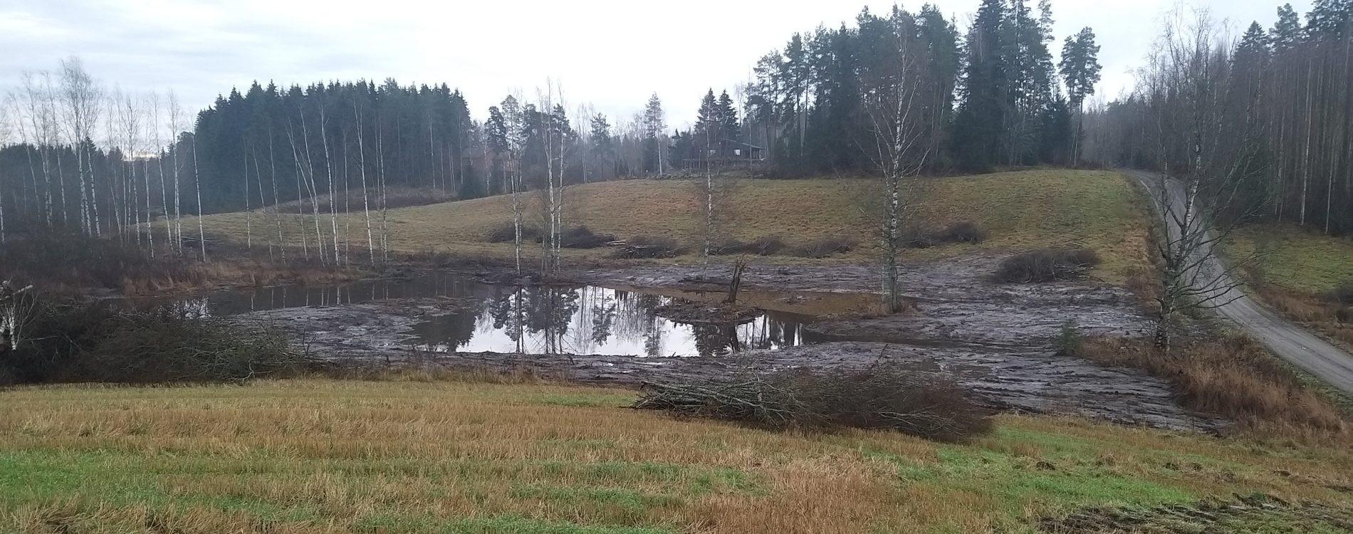 Vähäjärven kunnostus