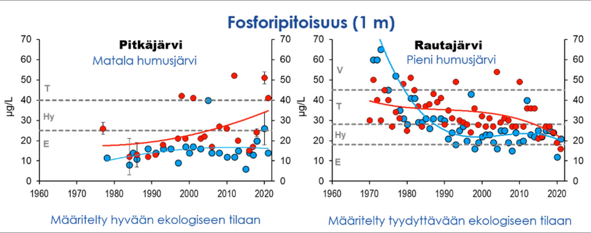 Fosforipitoisuus