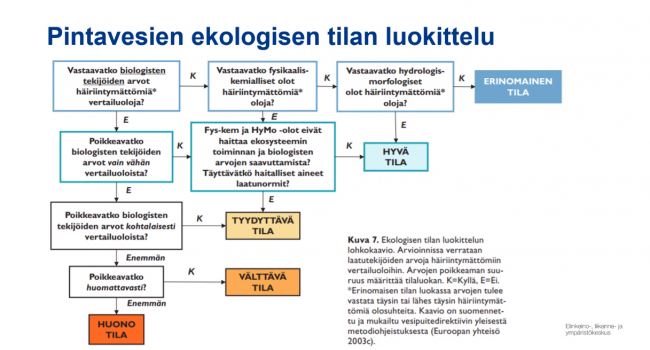 Pirkanmaan ELY-keskuksen vesiyksikön ylitarkastaja Hanna Alajoki kertoi Laskuojat kuntoon -kurssin toisessa illassa vesien tilasta ja kunnostuksesta. vesien tila