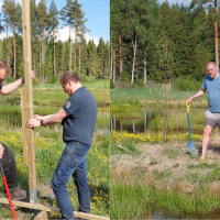 Tero Kortteenpohja ja Tommi Helinen (kuva vasemmalla) pystyttivät kosteikkotaulua ja Tommi Liljedahl istutti tervalepän taimen kosteikon saareen.